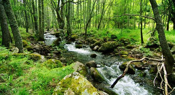 Ruralrut-El Tiemblo Wifi, Cabina De Hidromasaje, Aire Acondicionado Y A Pocos Metros De Zonas De Bano Naturales Luaran gambar